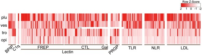 Fig. 4.