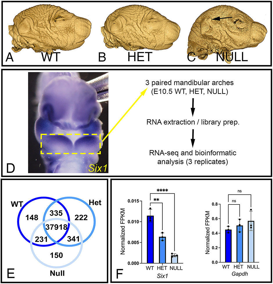 Figure 1: