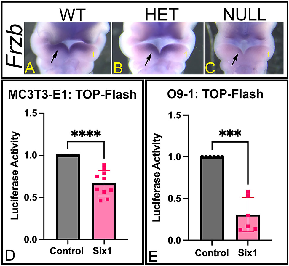 Figure 4: