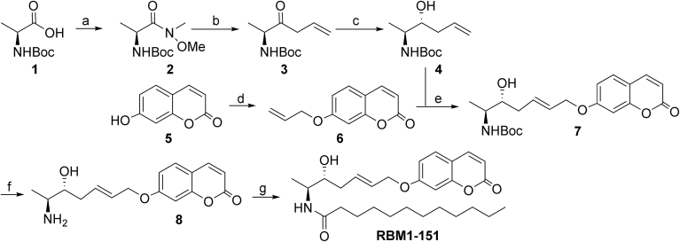 Scheme 2