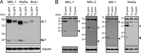 FIG. 3.