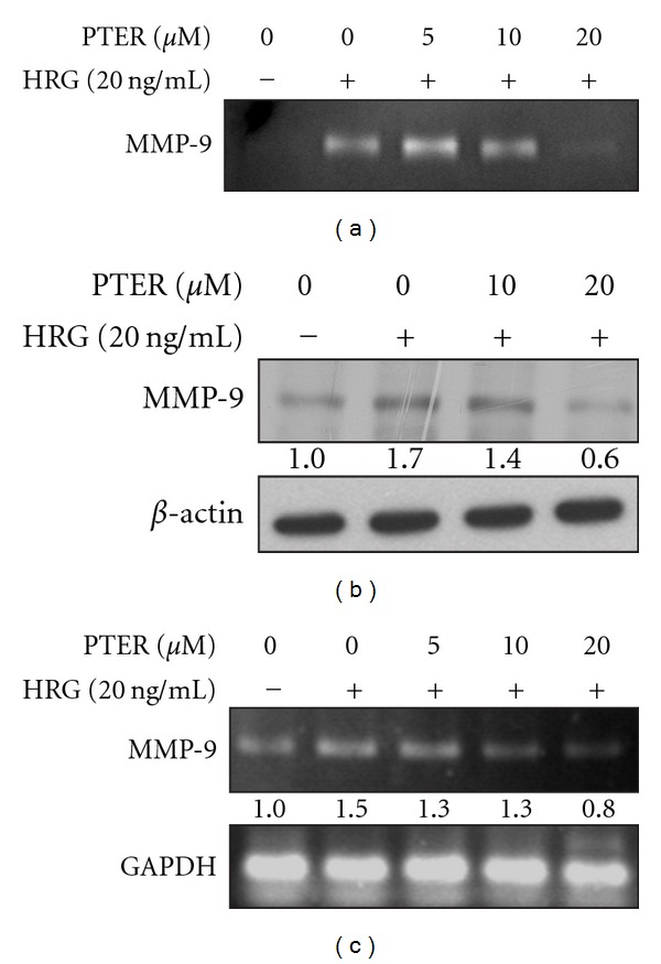 Figure 6