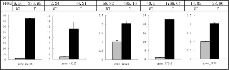 Fig. 8