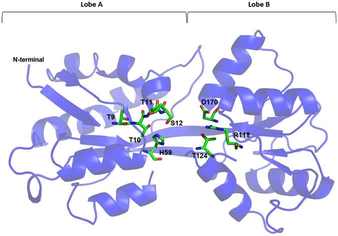 Figure 7