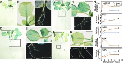 Fig. 4.