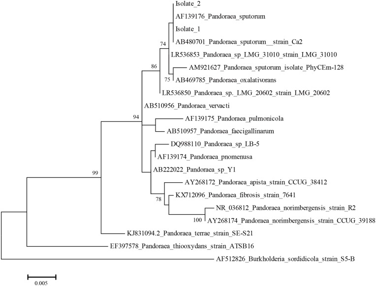 Figure 2