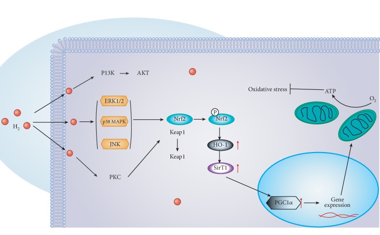 Figure 10