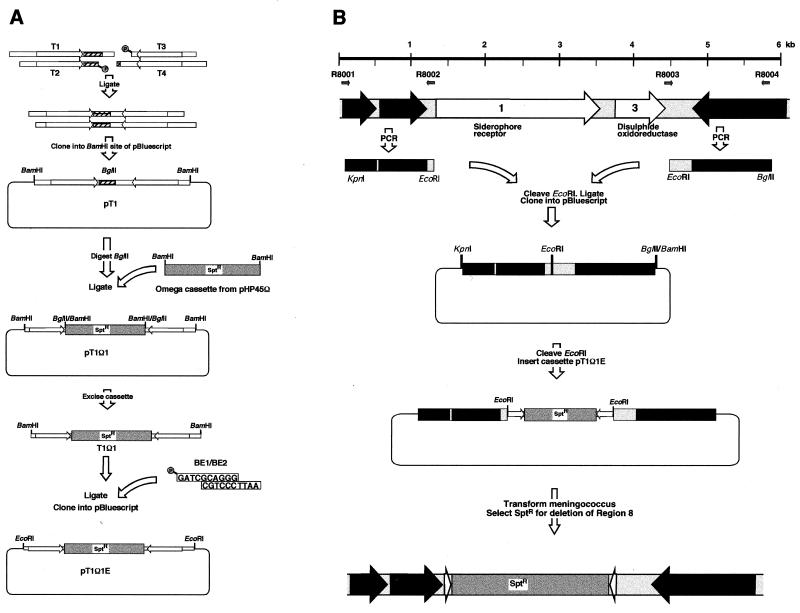 FIG. 1