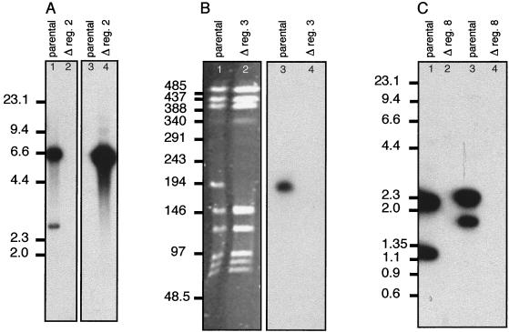 FIG. 6