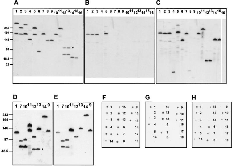 FIG. 5