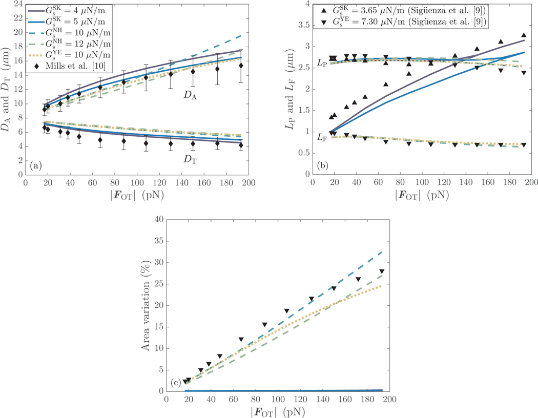 Figure 4: