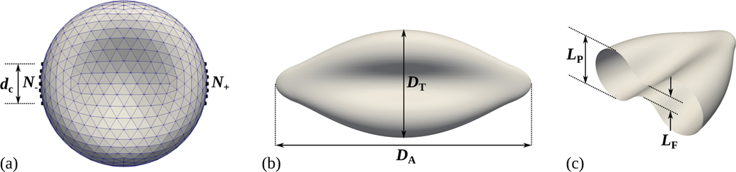 Figure 3: