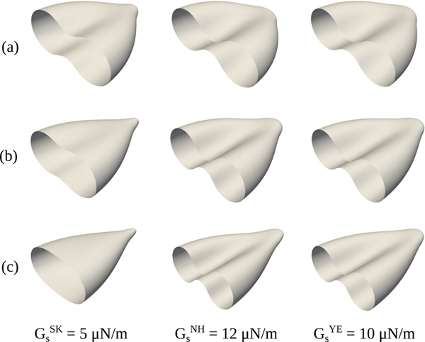 Figure 5: