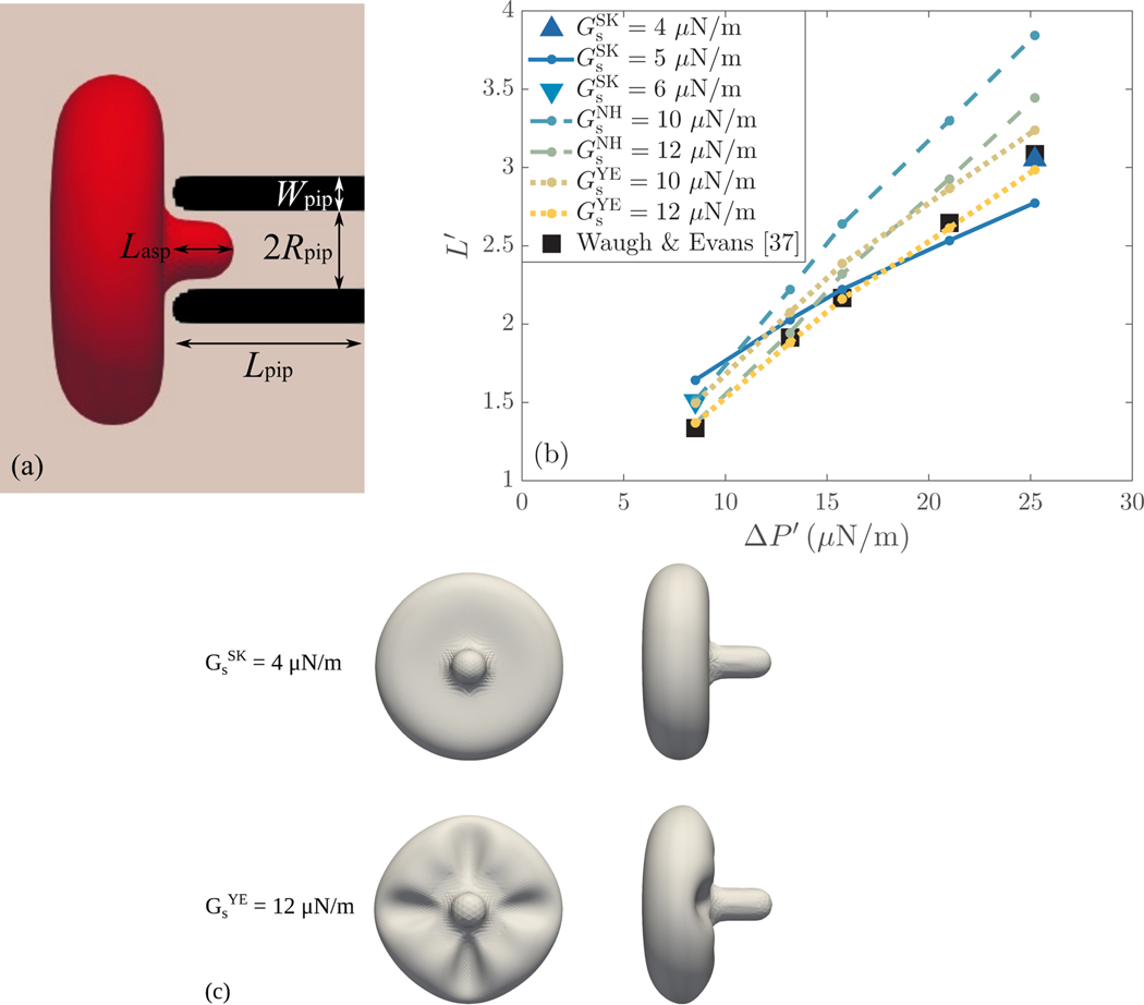 Figure 6: