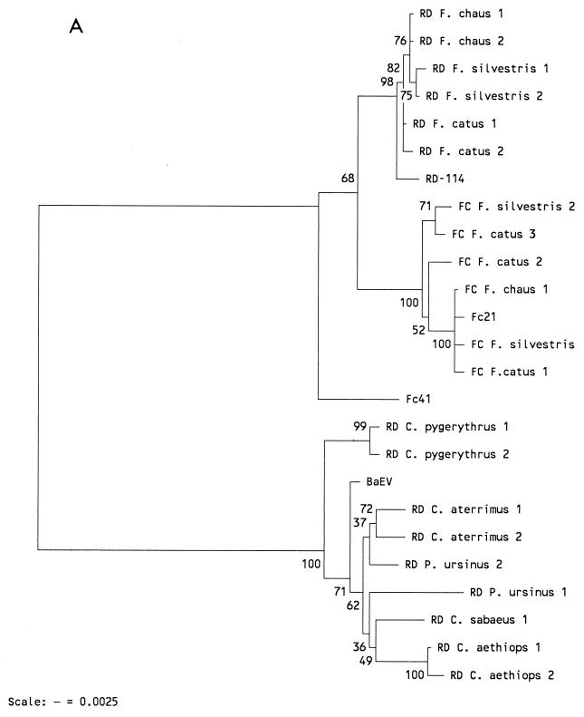 FIG. 5