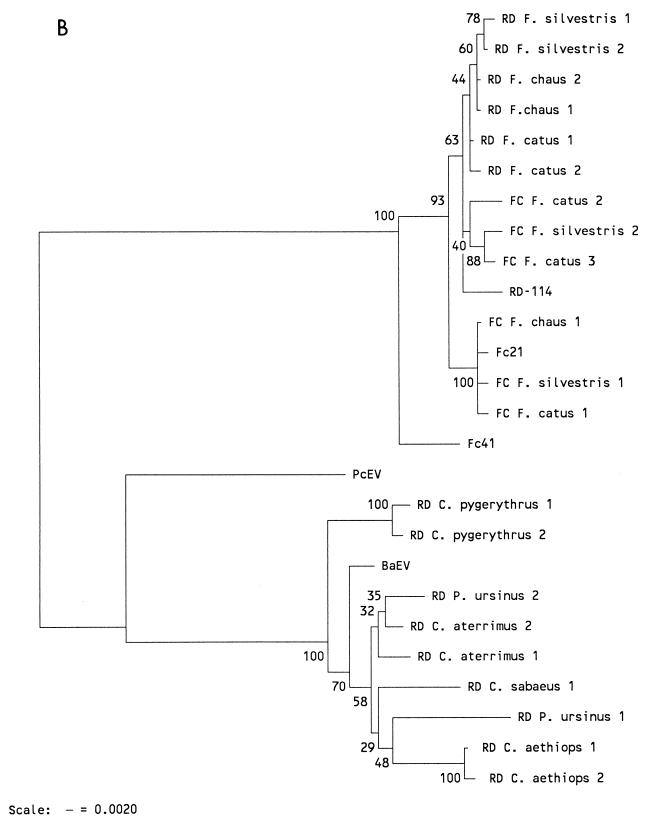 FIG. 5