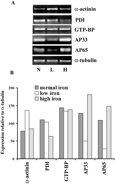 FIG. 4.