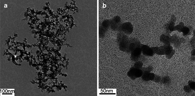 Fig. 1