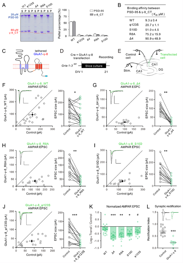 Figure 6: