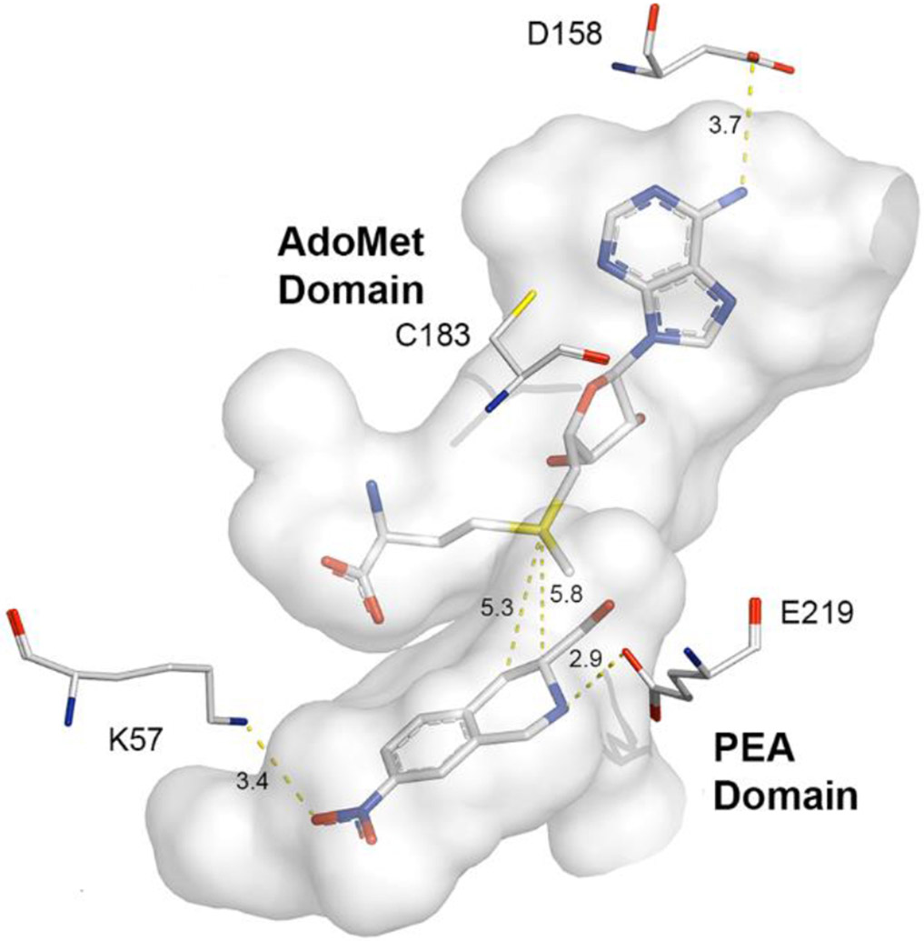 Figure 5: