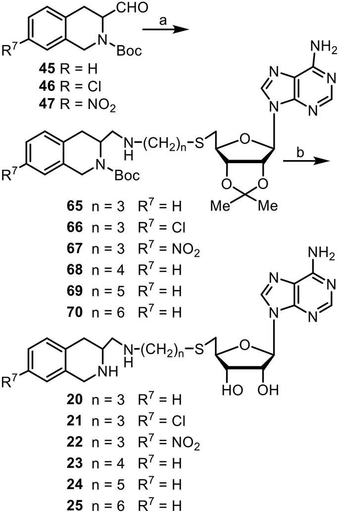 Scheme 5