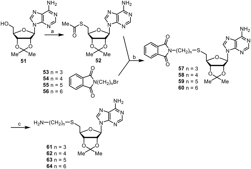 Scheme 4