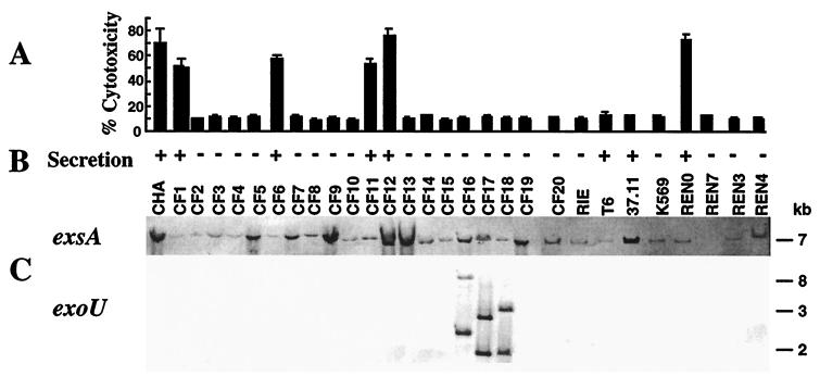 FIG. 6