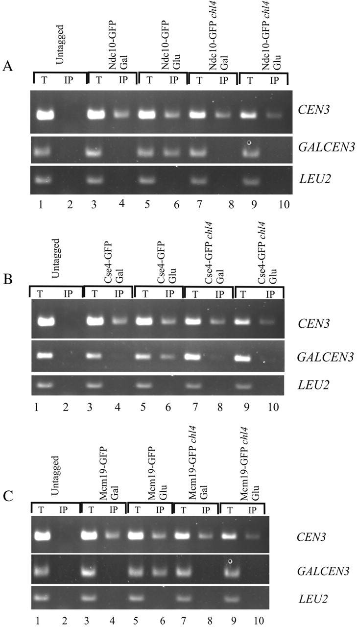 Figure 5.