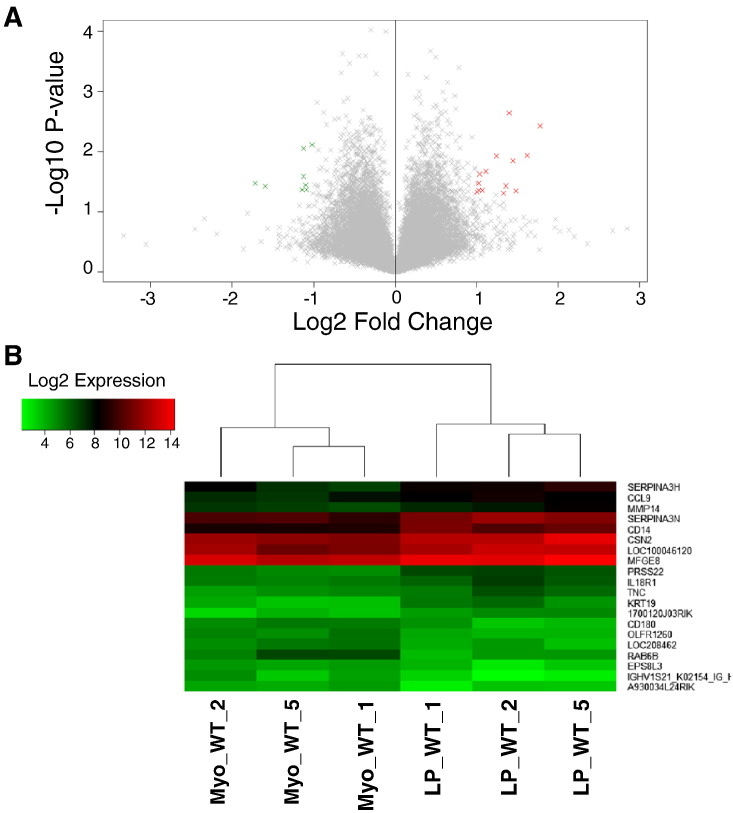 Fig. 4