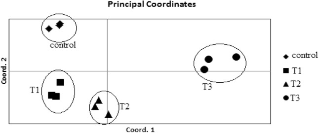 Fig. 5