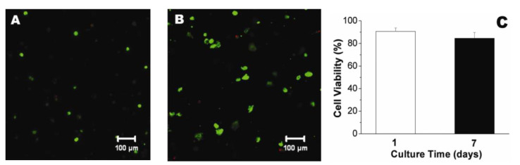 Figure 15