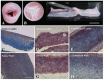 Figure 19