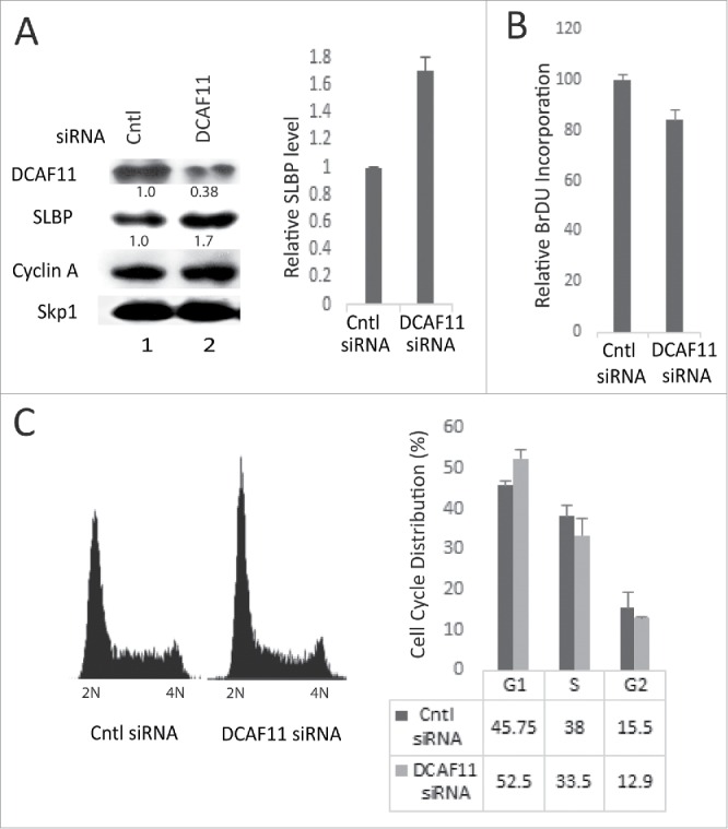 Figure 6.