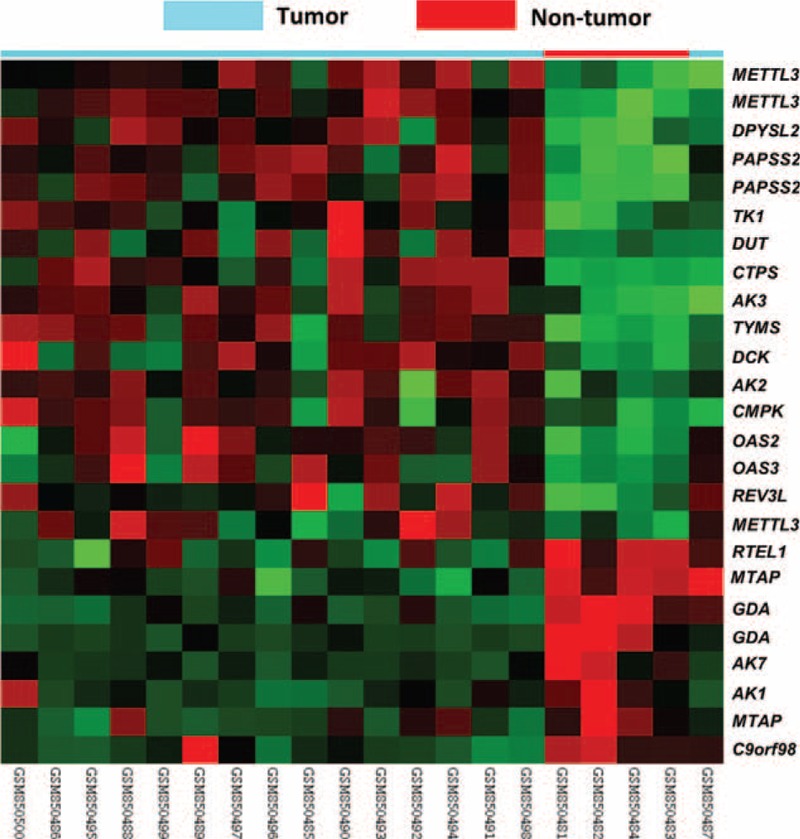 FIGURE 1