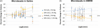 Swelling data, represented as % change in volume over time for LDW-fabricated alginate microbeads, cultured in either (a) saline or (b) DMEM. Microbeads crosslinked with 10% CaCl2 exhibited swelling, whereas all other formulations caused microbeads to shrink. Only 2% CaCl2 beads swelled in DMEM, while all other conditions displayed overall shrinking trends (n = 3–6, all groups).