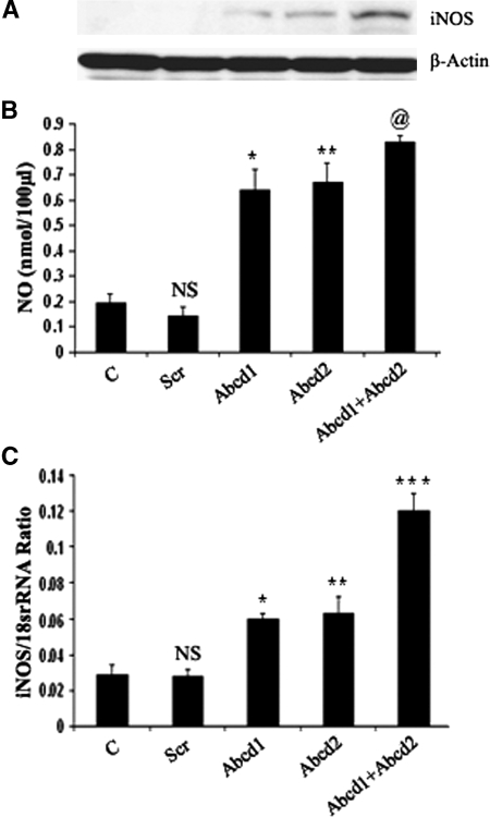 Fig. 4.