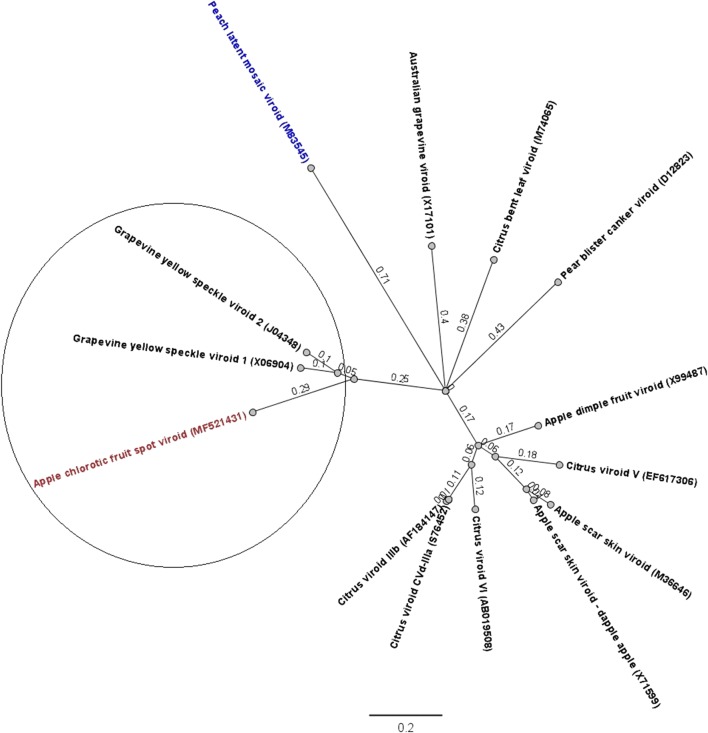 Fig. 2