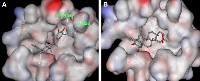 Figure 4