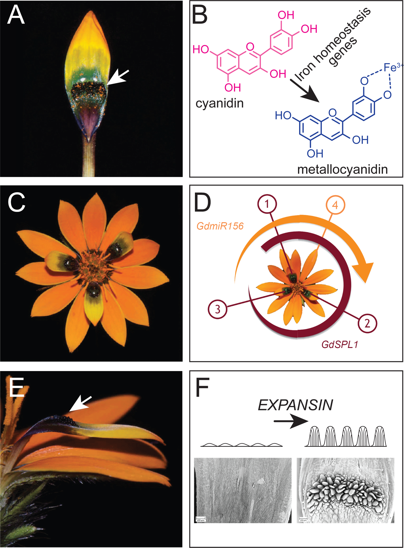 Figure 1.