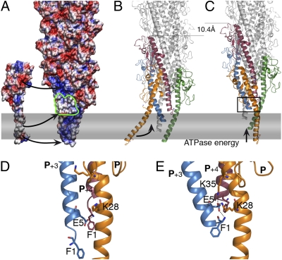 Fig. 4.