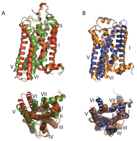 Fig. (5)