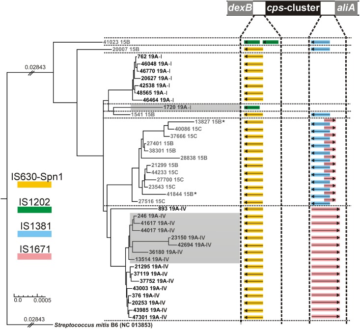 Fig 3