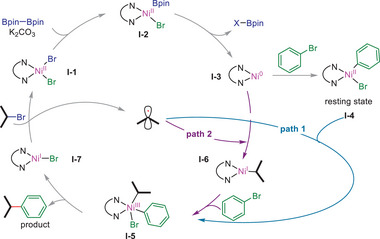 Scheme 1