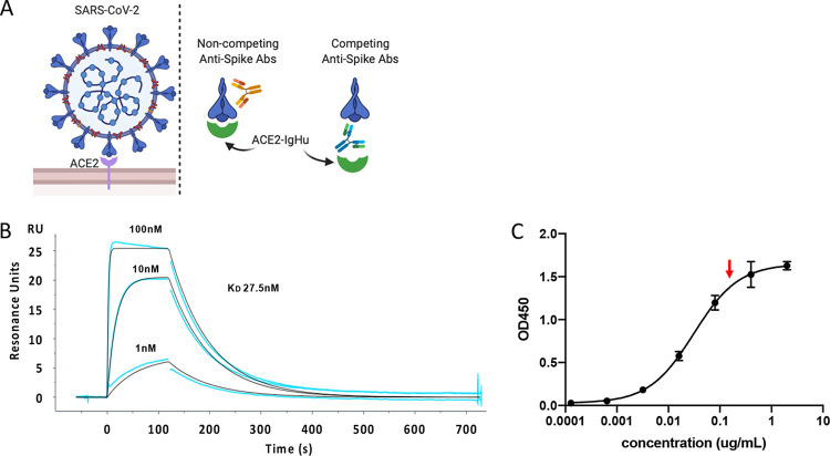 FIG 1