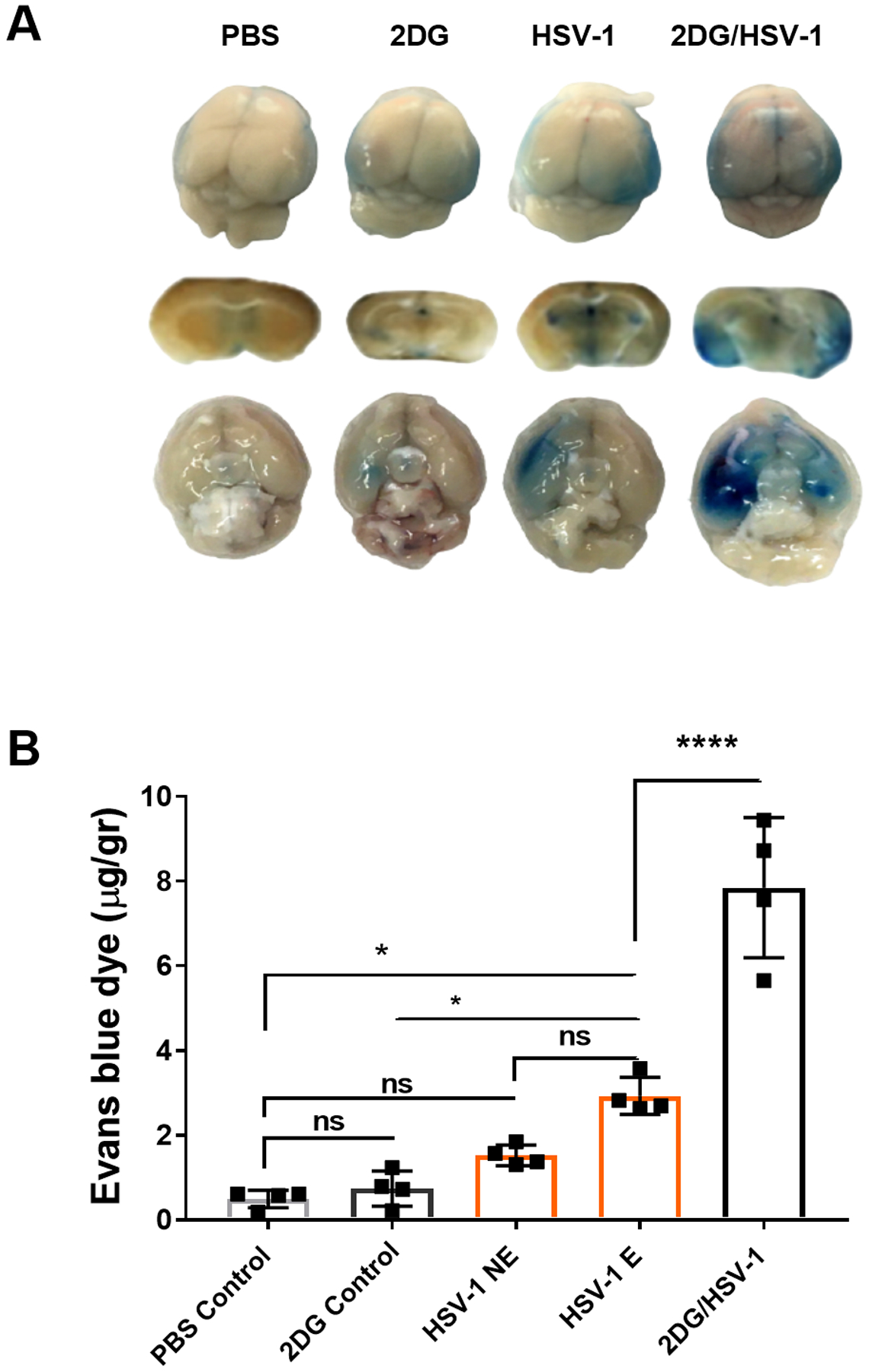 FIGURE 11.