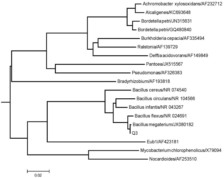 Figure 2