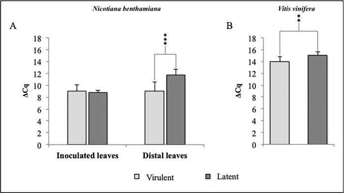 Fig 5