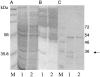 FIG. 6.