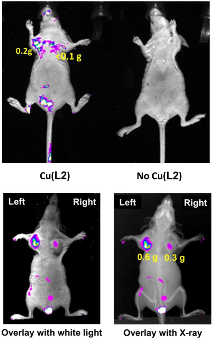 Figure 2