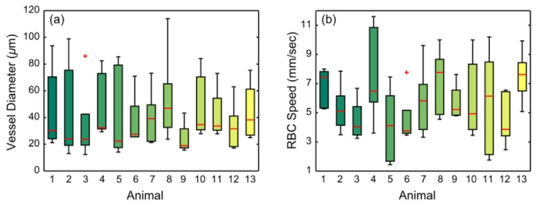 Fig. 12